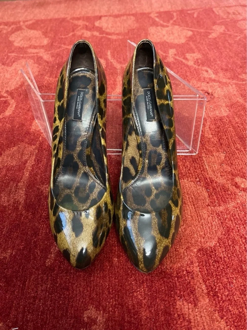 Dolce & Gabbana stylish leopard